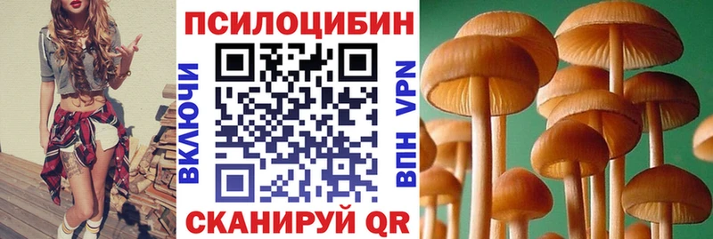 сайты даркнета клад  Ярцево  Галлюциногенные грибы мицелий 